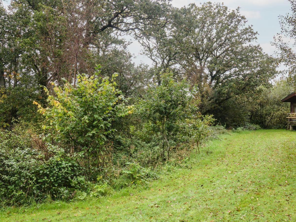 Braeburn Lodge Winkleigh Kültér fotó
