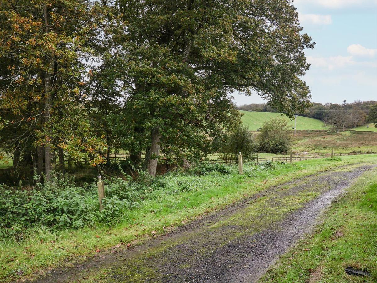 Braeburn Lodge Winkleigh Kültér fotó