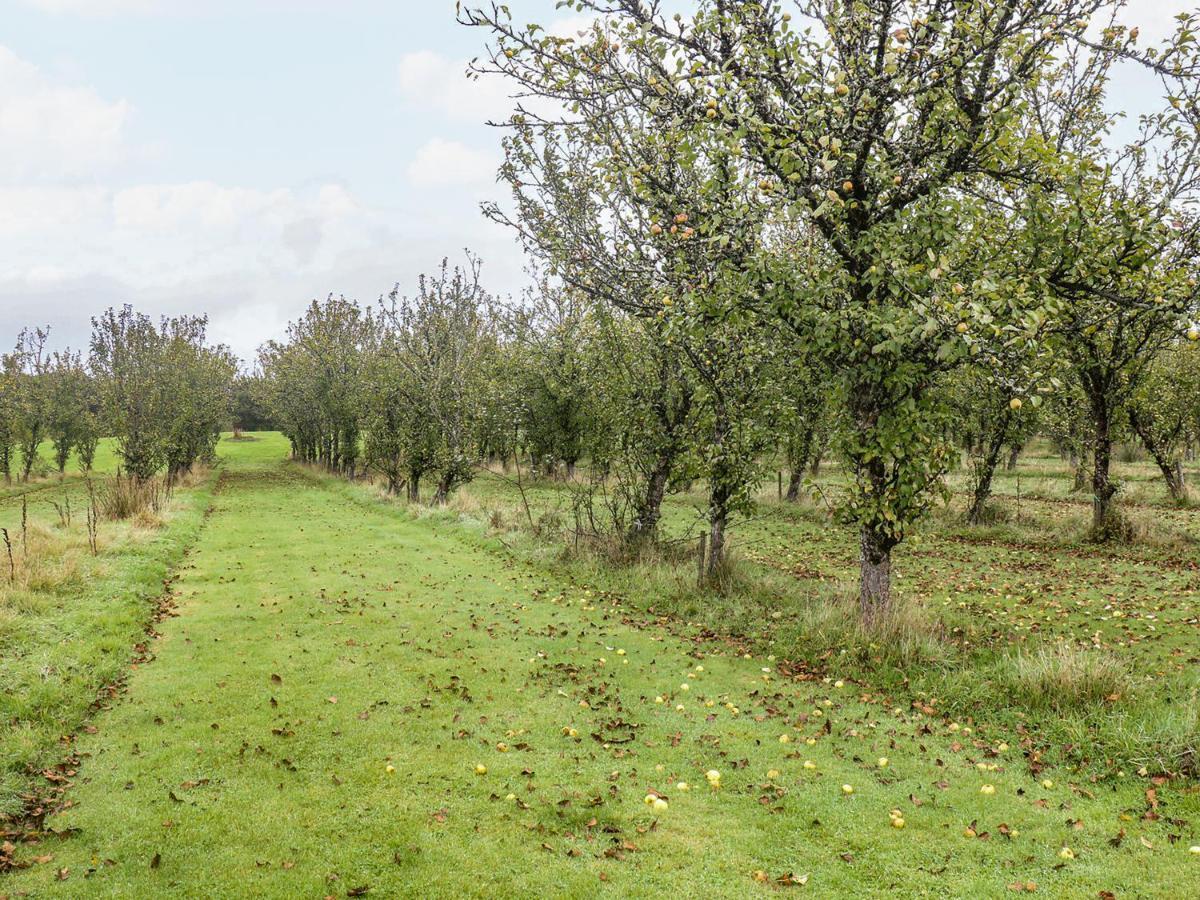 Braeburn Lodge Winkleigh Kültér fotó